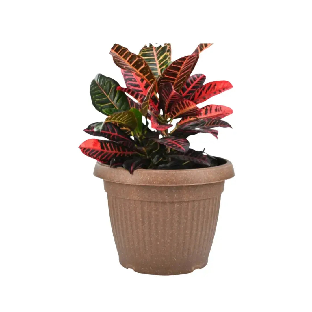 Plant Pots - KILI ecolifestyles