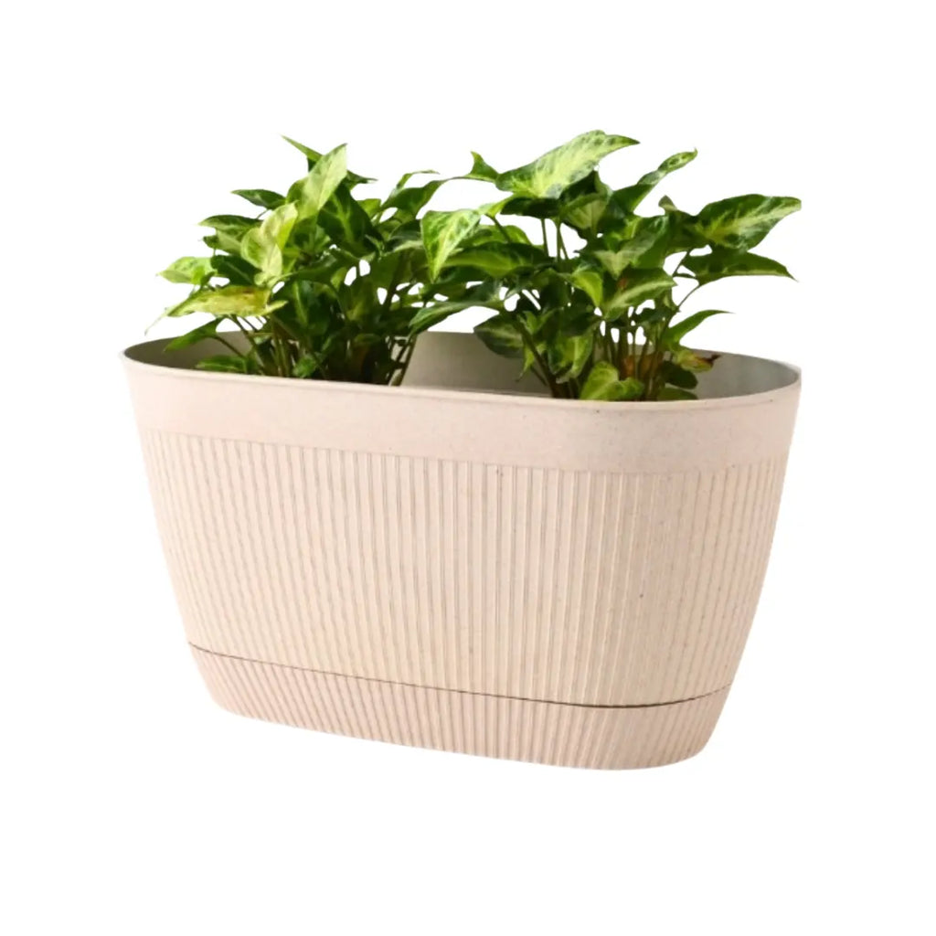 Eco Eva Rectangular Planter – 11.5" Plant Pot for Indoor or Outdoor Use killi ecolifstyle