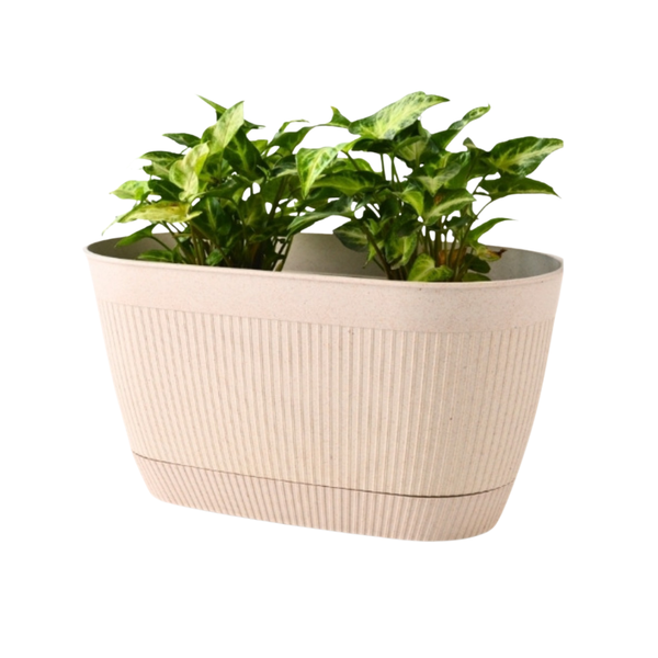 Eco Eva Rectangular Planter – 11.5" Plant Pot for Indoor or Outdoor Use