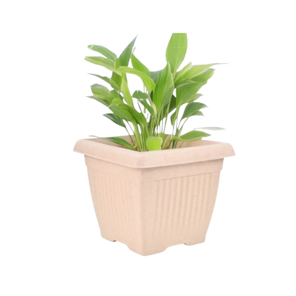 Bella Natural Square Planter (8 Inch) Fiber Clay Pot Container for Indoor and Outdoor Plants killi ecolifstyle
