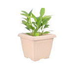 Bella Natural Square Planter (8 Inch) Fiber Clay Pot Container for Indoor and Outdoor Plants killi ecolifstyle
