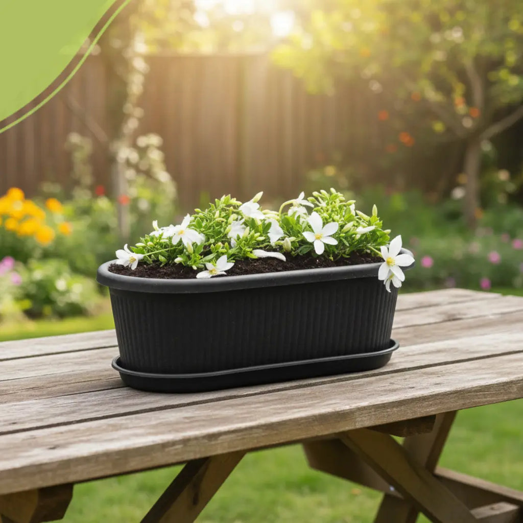 Regalia Rectangular Planter 12" Pot with Saucer for Garden killi ecolifstyle