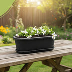 Regalia Rectangular Planter 12" Pot with Saucer for Garden killi ecolifstyle