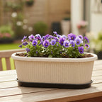 Regalia Rectangular Planter 12" Pot with Saucer for Garden killi ecolifstyle