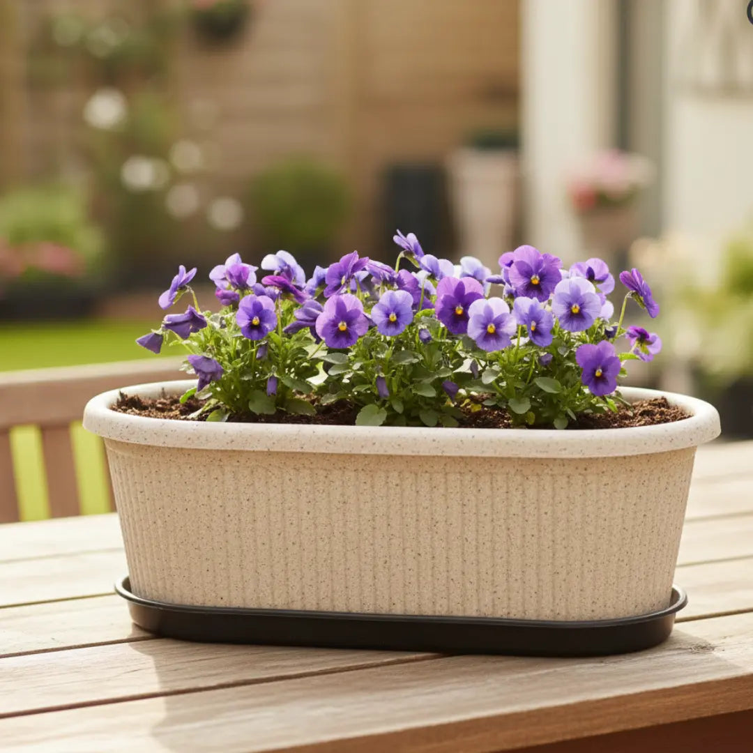Regalia Rectangular Planter 12" Pot with Saucer for Garden killi ecolifstyle