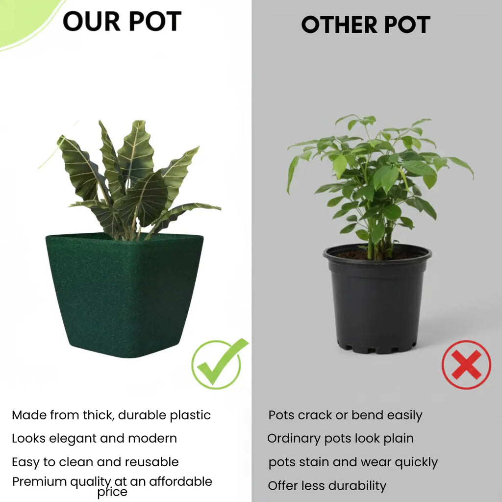 Daisy Square Planter – 7" Pot for Small Indoor or Outdoor Plants killi ecolifstyle