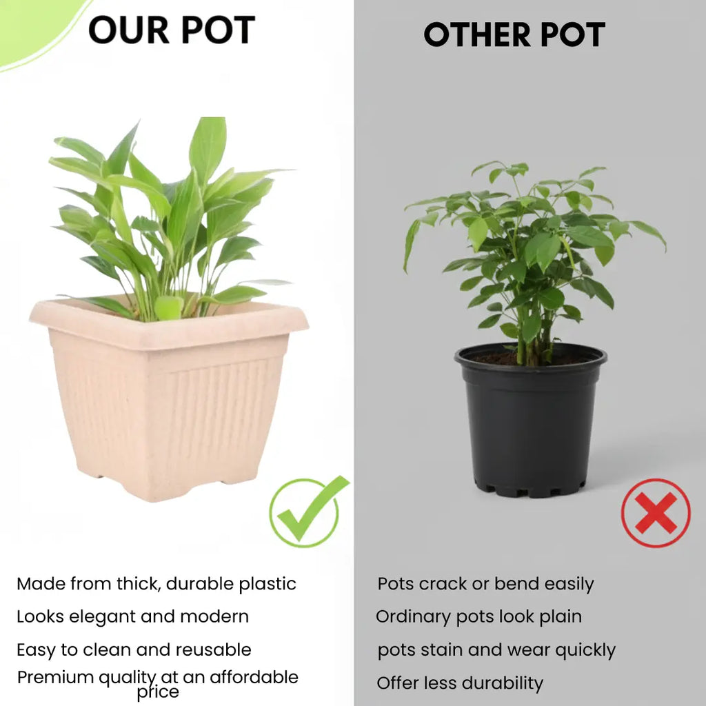 Bella Natural Square Planter (8 Inch) Fiber Clay Pot Container for Indoor and Outdoor Plants killi ecolifstyle