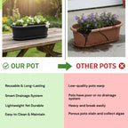 Regalia Rectangular Planter 12" Pot with Saucer for Garden killi ecolifstyle