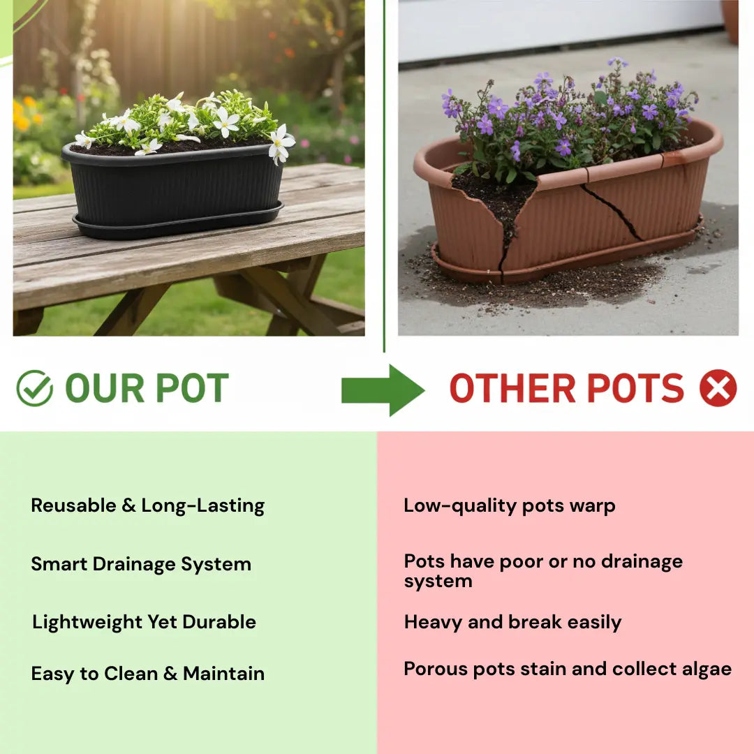 Regalia Rectangular Planter 12" Pot with Saucer for Garden killi ecolifstyle