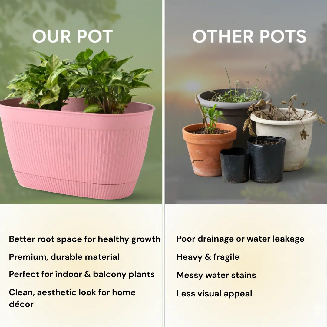 Eco Eva Rectangular Planter – 11.5" Plant Pot for Indoor or Outdoor Use killi ecolifstyle