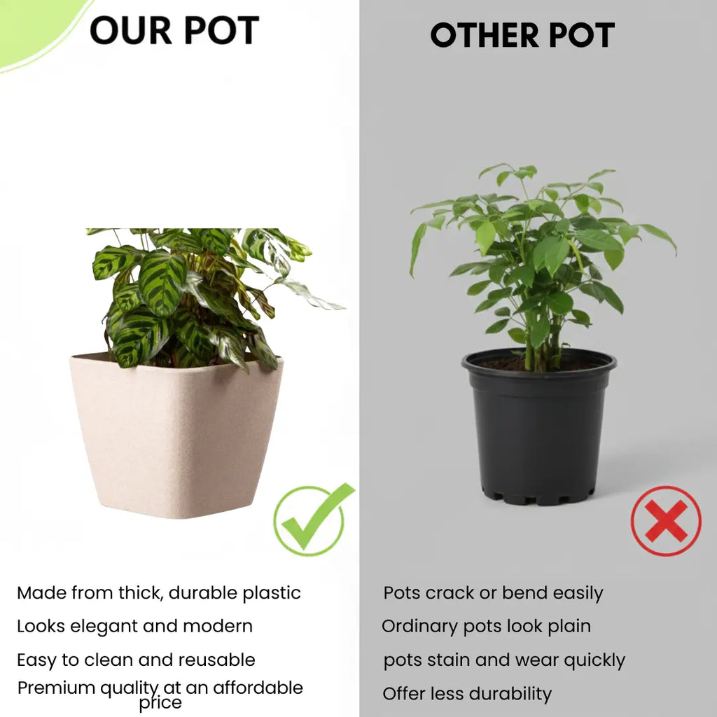 Daisy Square Planter – 7" Pot for Small Indoor or Outdoor Plants killi ecolifstyle