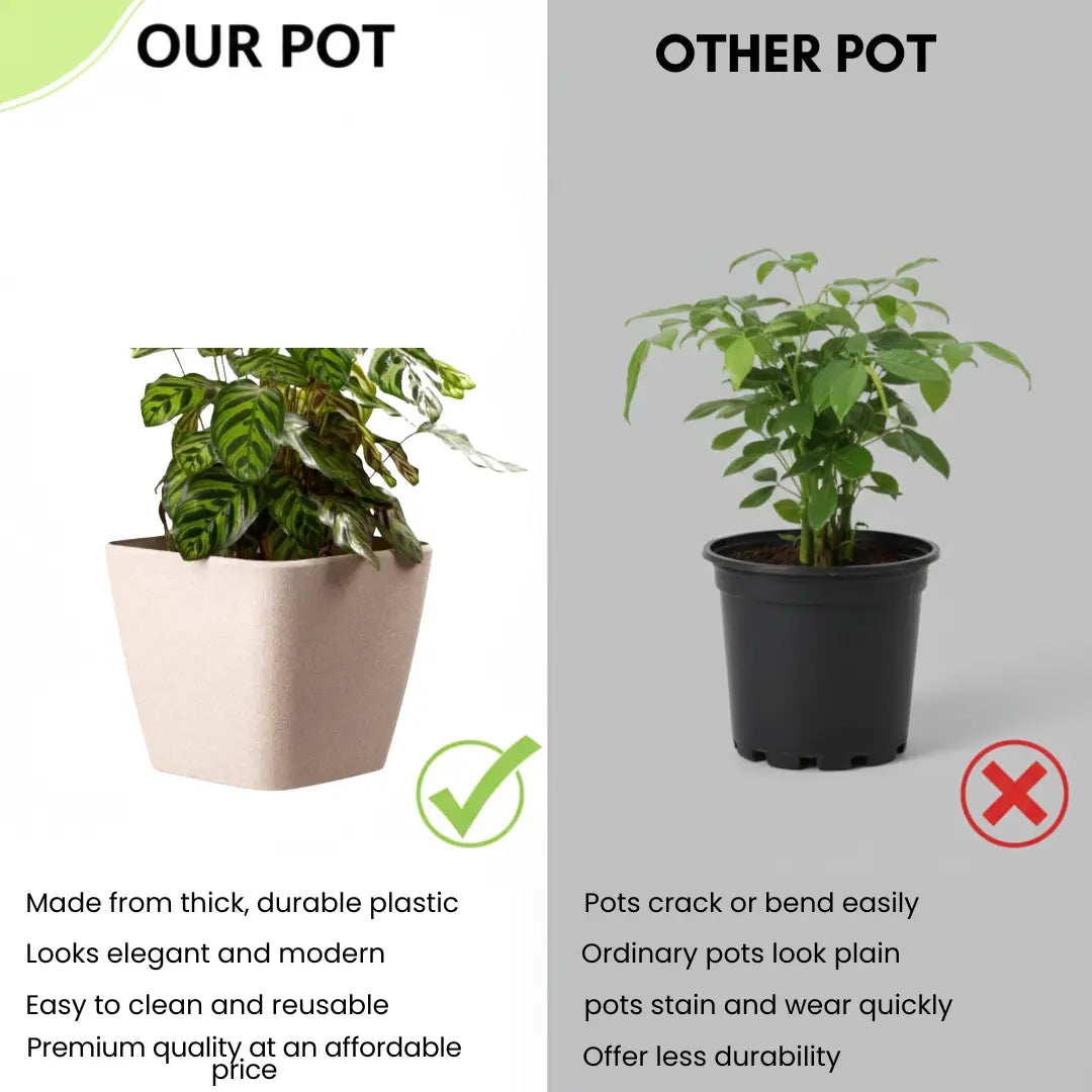 Daisy Square Planter – 7" Pot for Small Indoor or Outdoor Plants killi ecolifstyle