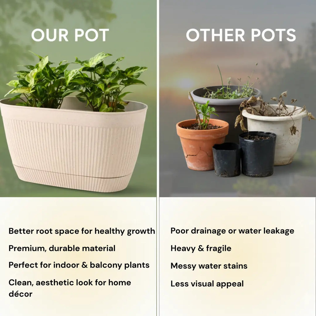 Eco Eva Rectangular Planter – 11.5" Plant Pot for Indoor or Outdoor Use killi ecolifstyle