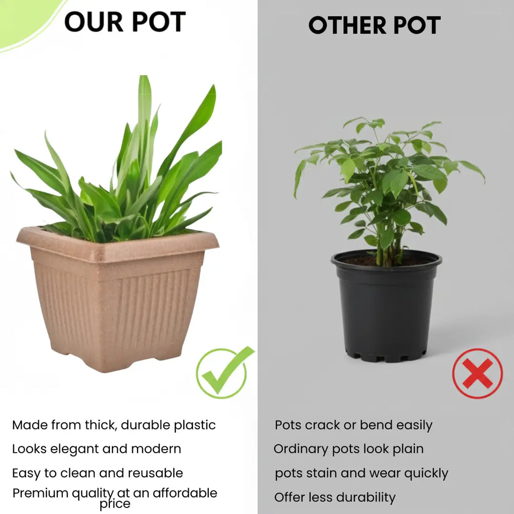 Bella Natural Square Planter (8 Inch) Fiber Clay Pot Container for Indoor and Outdoor Plants killi ecolifstyle