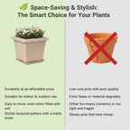 Archway Square Planter – Modern Design 10" Pot with Saucer Perfect for Indoor or Outdoor Plants killi ecolifstyle
