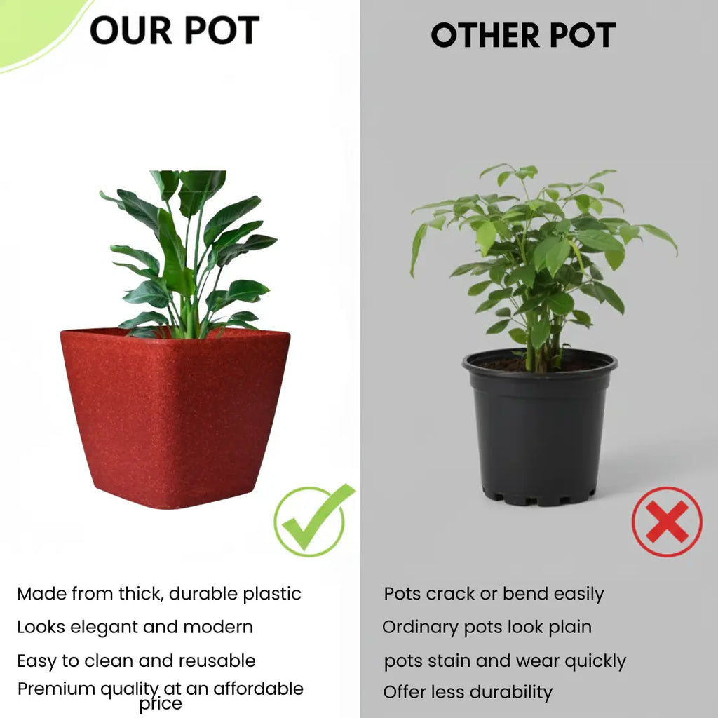 Daisy Square Planter – 7" Pot for Small Indoor or Outdoor Plants killi ecolifstyle
