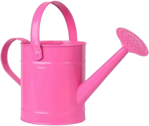 Gardening Tool Watering Can Ideal for Plants, Flowers