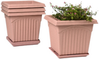 Archway Square Planter – Modern Design 10" Pot with Saucer Perfect for Indoor or Outdoor Plants