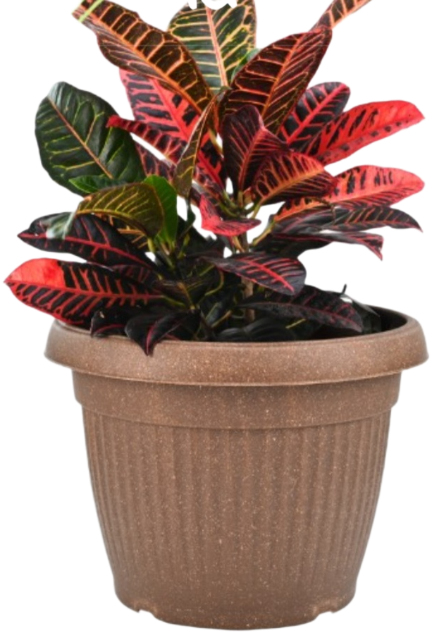 Natural Round Planter (10 Inch) Fiber Clay Pot for Indoor and Outdoor Plants