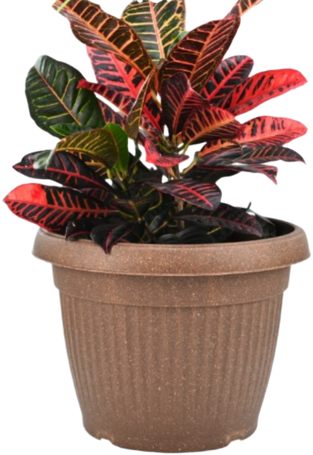 Natural Round Planter (10 Inch) Fiber Clay Pot for Indoor and Outdoor Plants