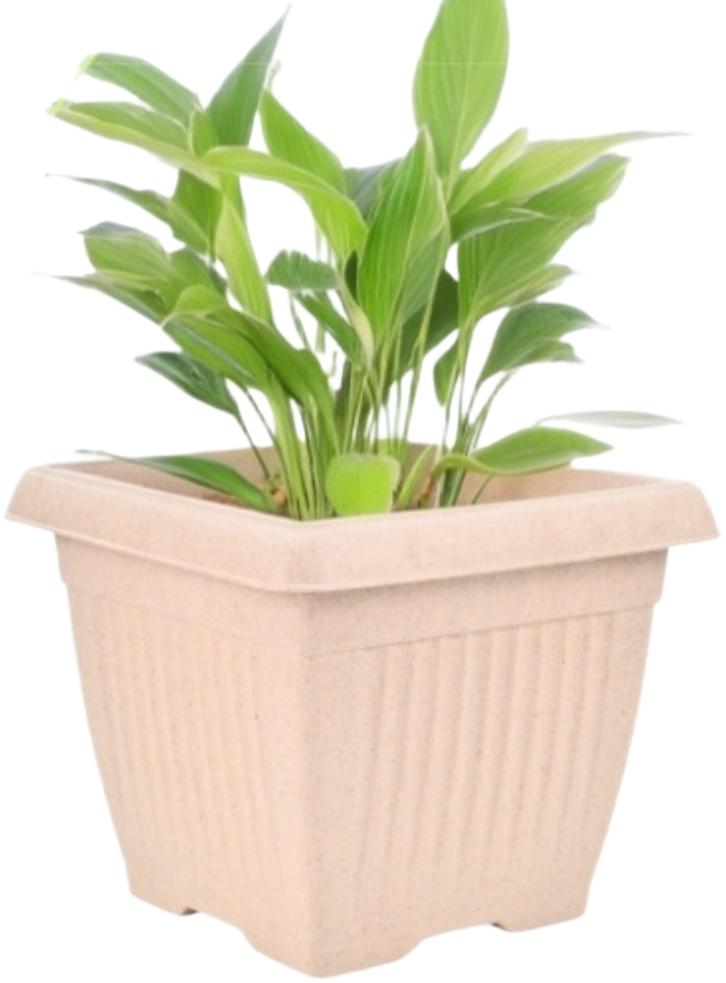 Bella Natural Square Planter (8 Inch) Fiber Clay Pot Container for Indoor and Outdoor Plants