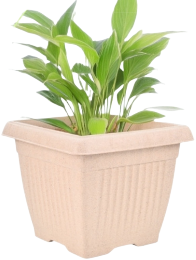 Bella Natural Square Planter (8 Inch) Fiber Clay Pot Container for Indoor and Outdoor Plants