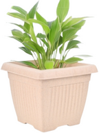 Bella Natural Square Planter (8 Inch) Fiber Clay Pot Container for Indoor and Outdoor Plants