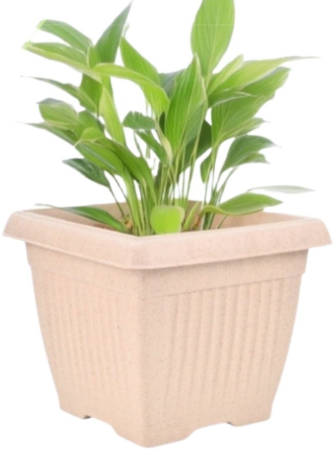 Bella Natural Square Planter (8 Inch) Fiber Clay Pot Container for Indoor and Outdoor Plants