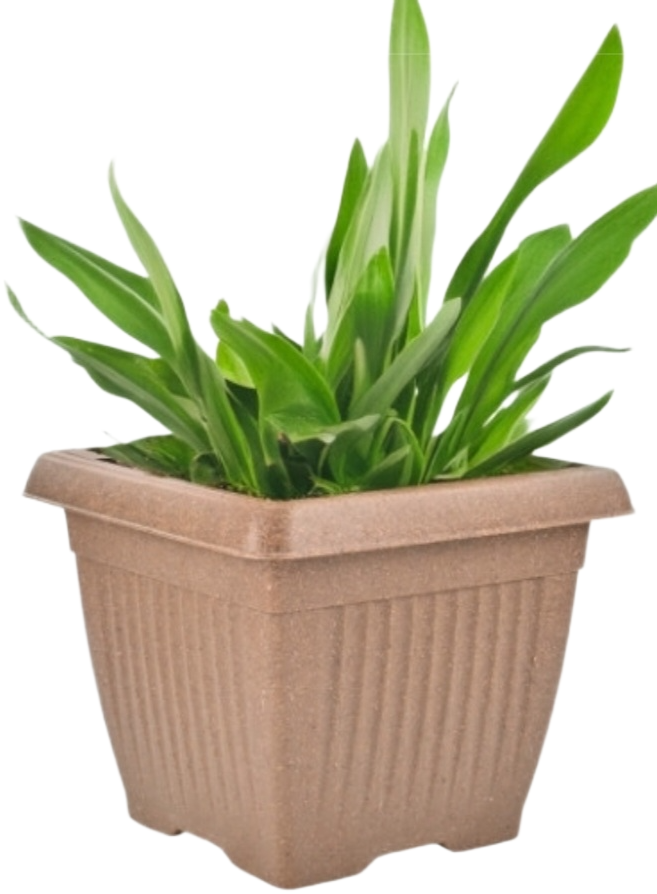 Bella Natural Square Planter (8 Inch) Fiber Clay Pot Container for Indoor and Outdoor Plants