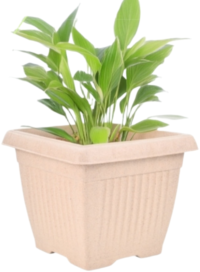 Bella Natural Square Planter (8 Inch) Fiber Clay Pot Container for Indoor and Outdoor Plants