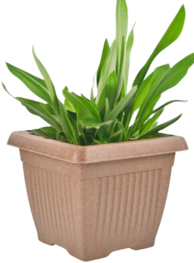 Bella Natural Square Planter (8 Inch) Fiber Clay Pot Container for Indoor and Outdoor Plants