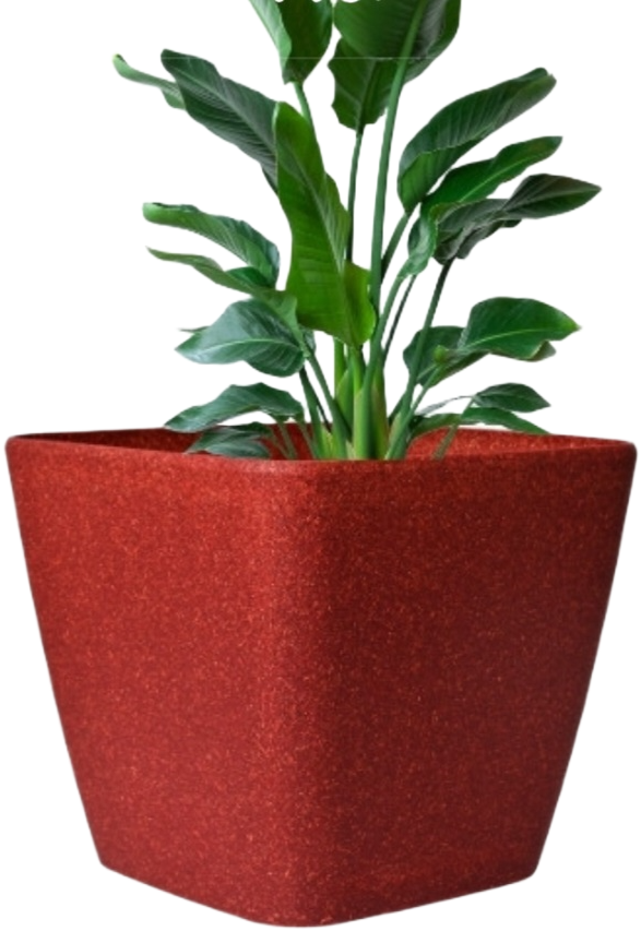 Daisy Square Planter – 7" Pot for Small Indoor or Outdoor Plants