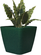 Daisy Square Planter – 7" Pot for Small Indoor or Outdoor Plants