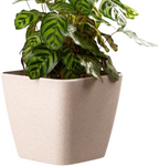 Daisy Square Planter – 7" Pot for Small Indoor or Outdoor Plants