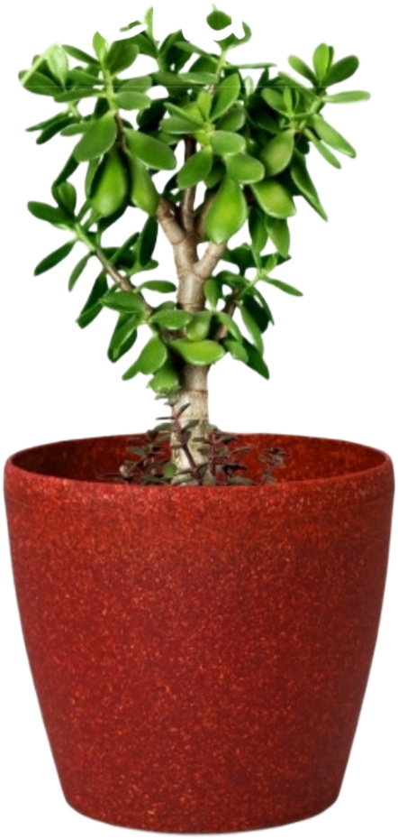 Deco Planter – 7" Terra Speckled Pot for Indoor or Outdoor Plants