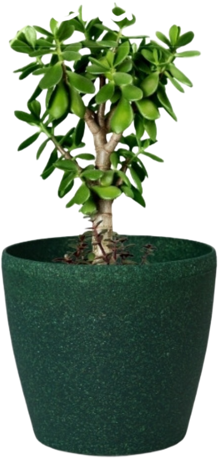 Deco Planter – 7" Terra Speckled Pot for Indoor or Outdoor Plants