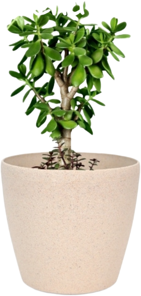Deco Planter – 7" Terra Speckled Pot for Indoor or Outdoor Plants