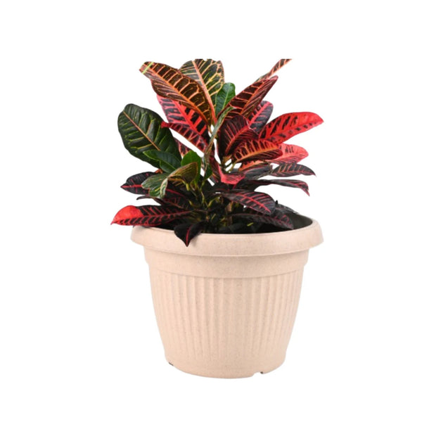 Natural Round Planter (10 Inch) Fiber Clay Pot for Indoor and Outdoor Plants