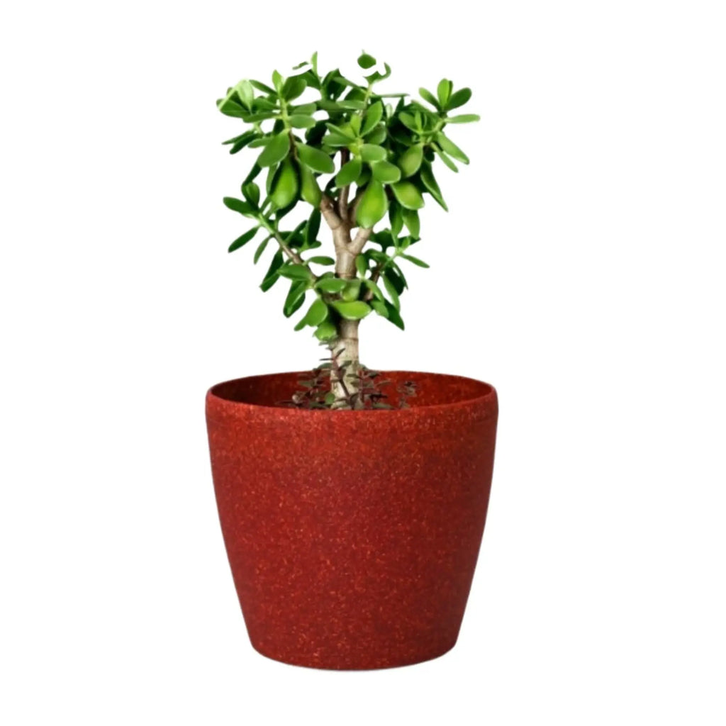 Deco Planter – 7" Terra Speckled Pot for Indoor or Outdoor Plants killi ecolifstyle