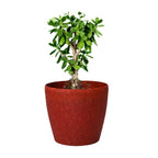 Deco Planter – 7" Terra Speckled Pot for Indoor or Outdoor Plants killi ecolifstyle