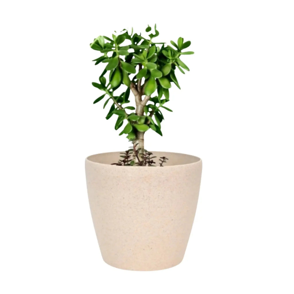 Deco Planter – 7" Terra Speckled Pot for Indoor or Outdoor Plants killi ecolifstyle