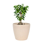 Deco Planter – 7" Terra Speckled Pot for Indoor or Outdoor Plants killi ecolifstyle