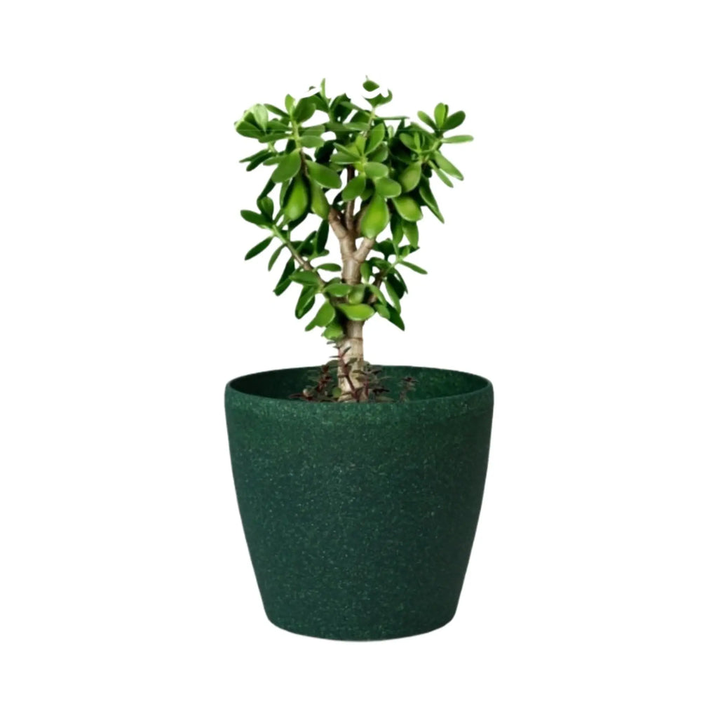 Deco Planter – 7" Terra Speckled Pot for Indoor or Outdoor Plants killi ecolifstyle