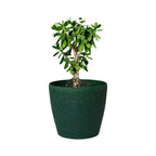 Deco Planter – 7" Terra Speckled Pot for Indoor or Outdoor Plants killi ecolifstyle