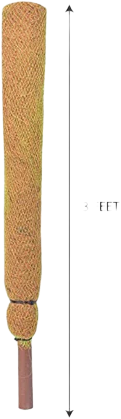 Coco Coir Moss Pole (Set of 2) for Climbing Plants  Perfect for Indoor Gardening