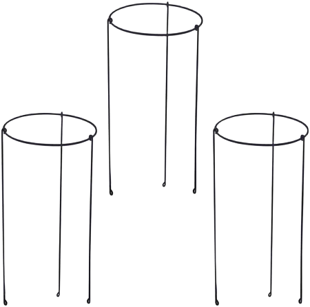 Cylindrical Wire Plant Support Cages Set of 3 Black Metal Ring Stakes for Bushy Plants, Peonies