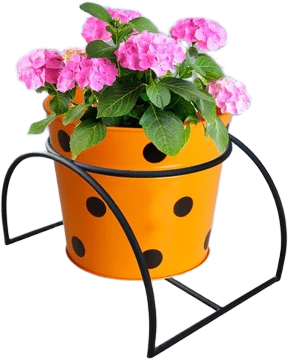 Modern Black Metal Tunnel Plant Stand Set (2-Pack) Pot for Indoor and Outdoor Use